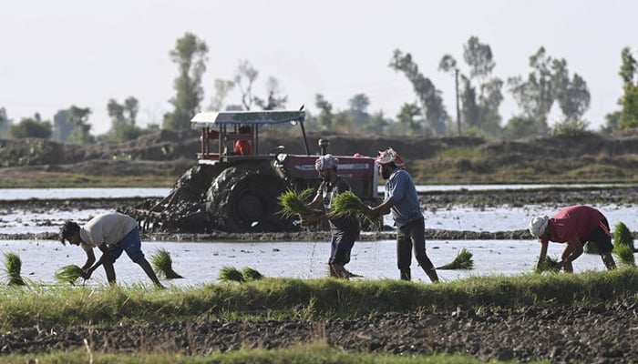 Sustainable Agriculture Part I