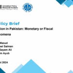 IPRI Policy Brief 2024